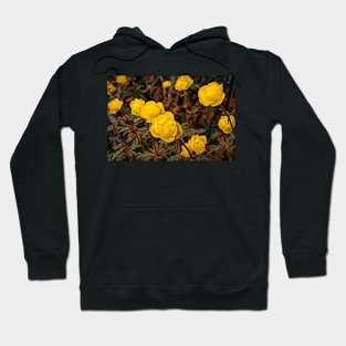 Globe flower illustration Hoodie